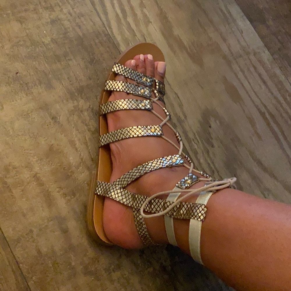 Steve Madden gold snake skin short gladiator sandals size 8.5